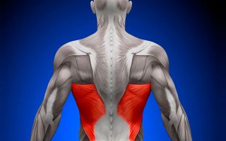 Упражнения для укрепления мышечного корсета спины